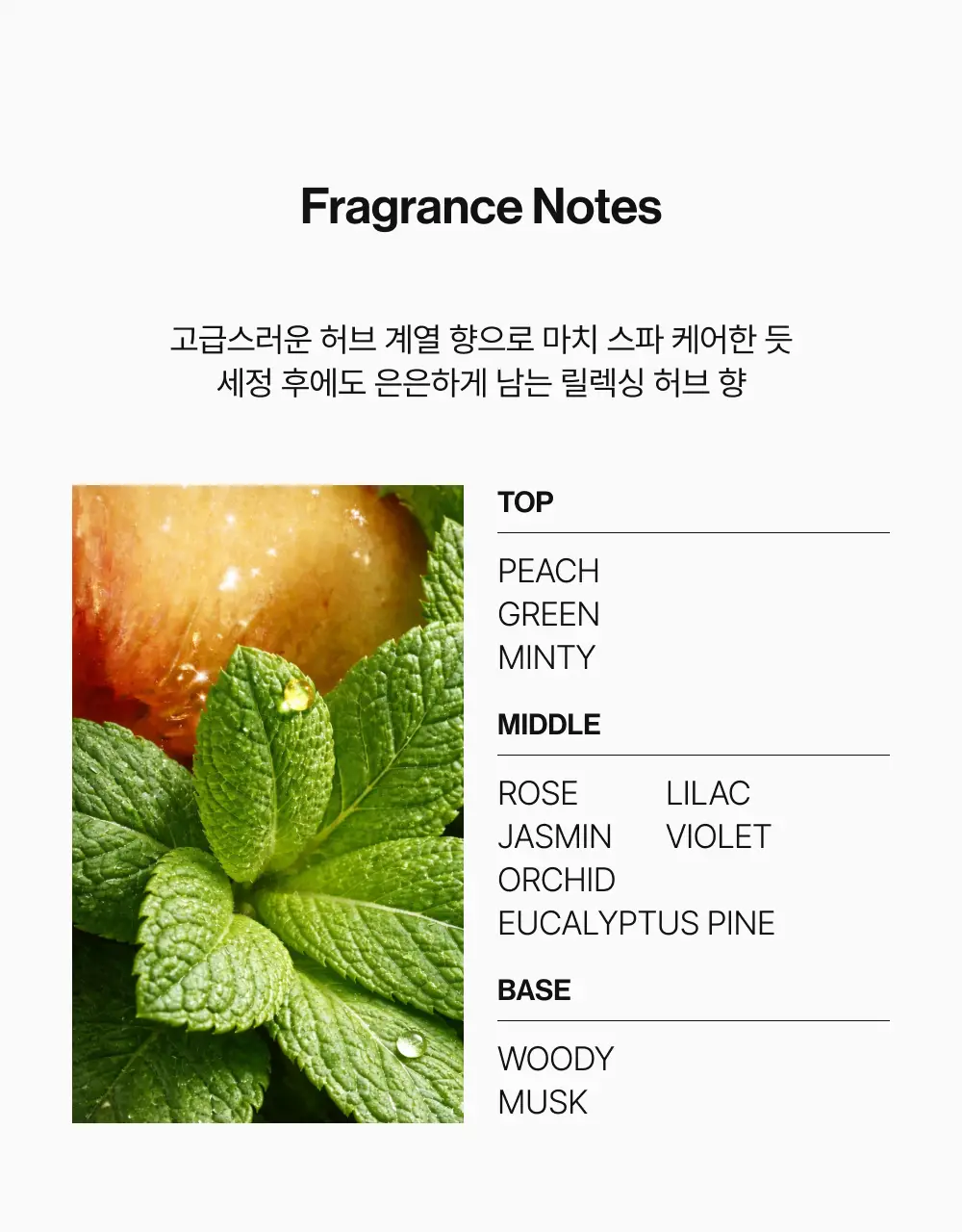 [포켓몬 에디션][50시간볼륨지속]] 릴리이브 그로우턴 3D 볼륨 샴푸 대용량 500ml (단품/기획*) 상세페이지 76